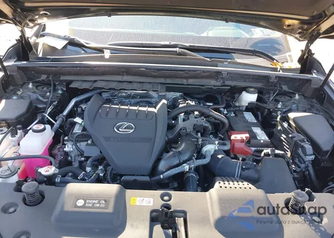 2025 Lexus Nx 350 из США, поврежденный, VIN 2T2AGCEZXSC077021